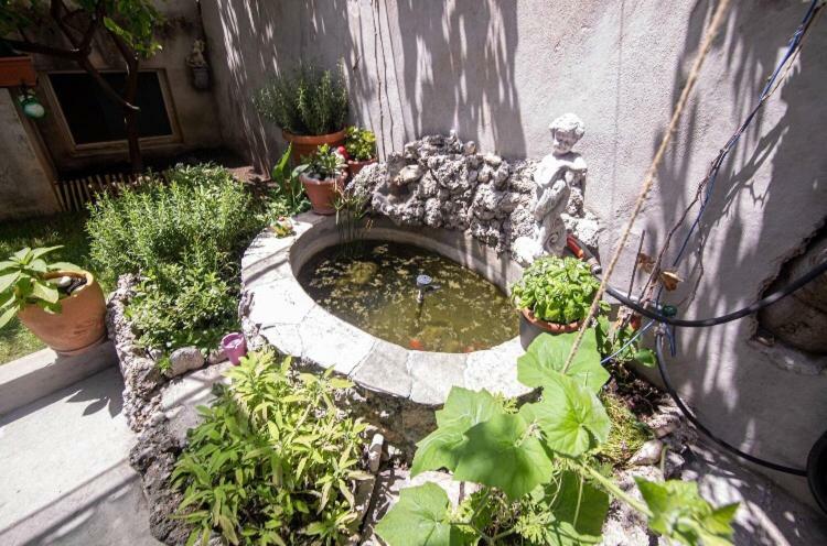 Apartmani Marko Makarska Exterior photo